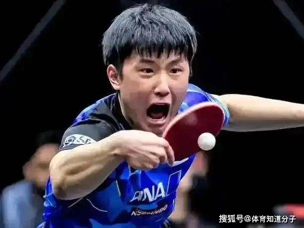 关于比利时乒乓球队绝杀法国乒乓球队，张本智和爆发神勇的信息