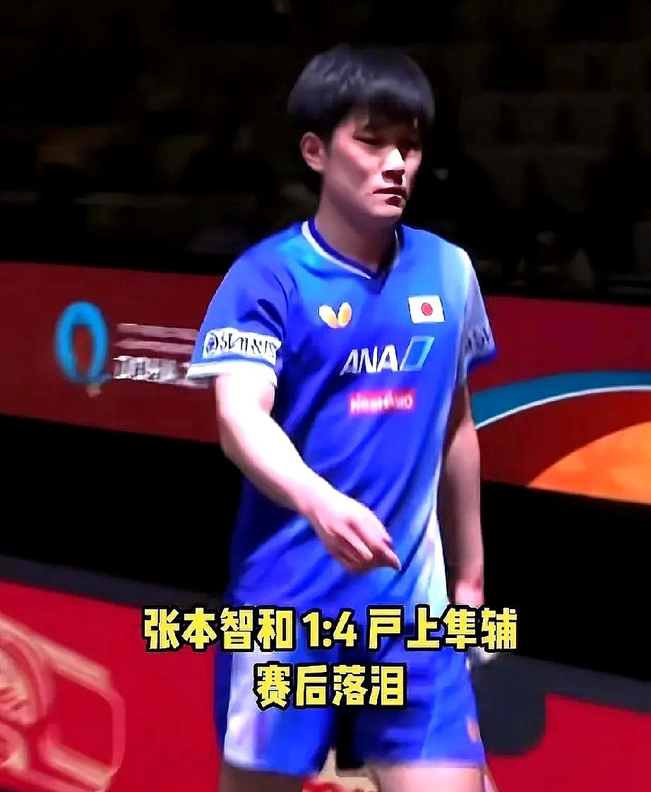 关于比利时乒乓球队绝杀法国乒乓球队，张本智和爆发神勇的信息