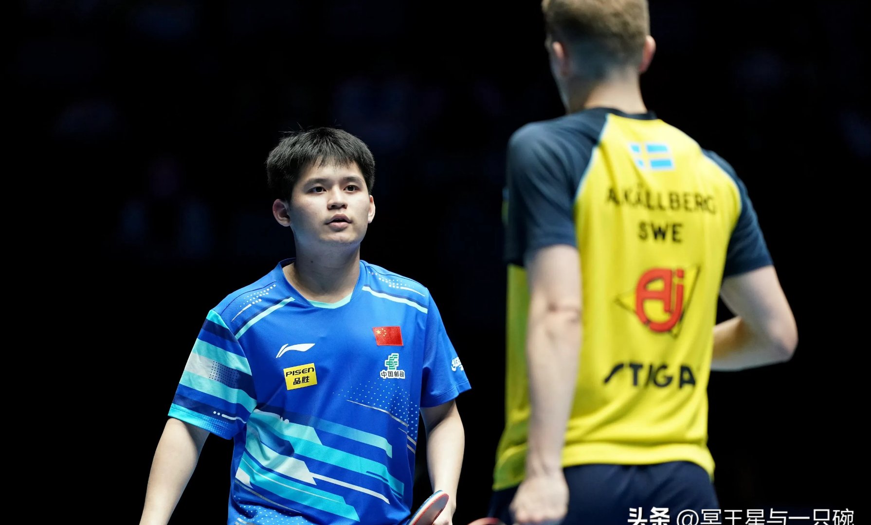 日本乒乓球队鏖战瑞典乒乓球队，王皓高光表现的简单介绍
