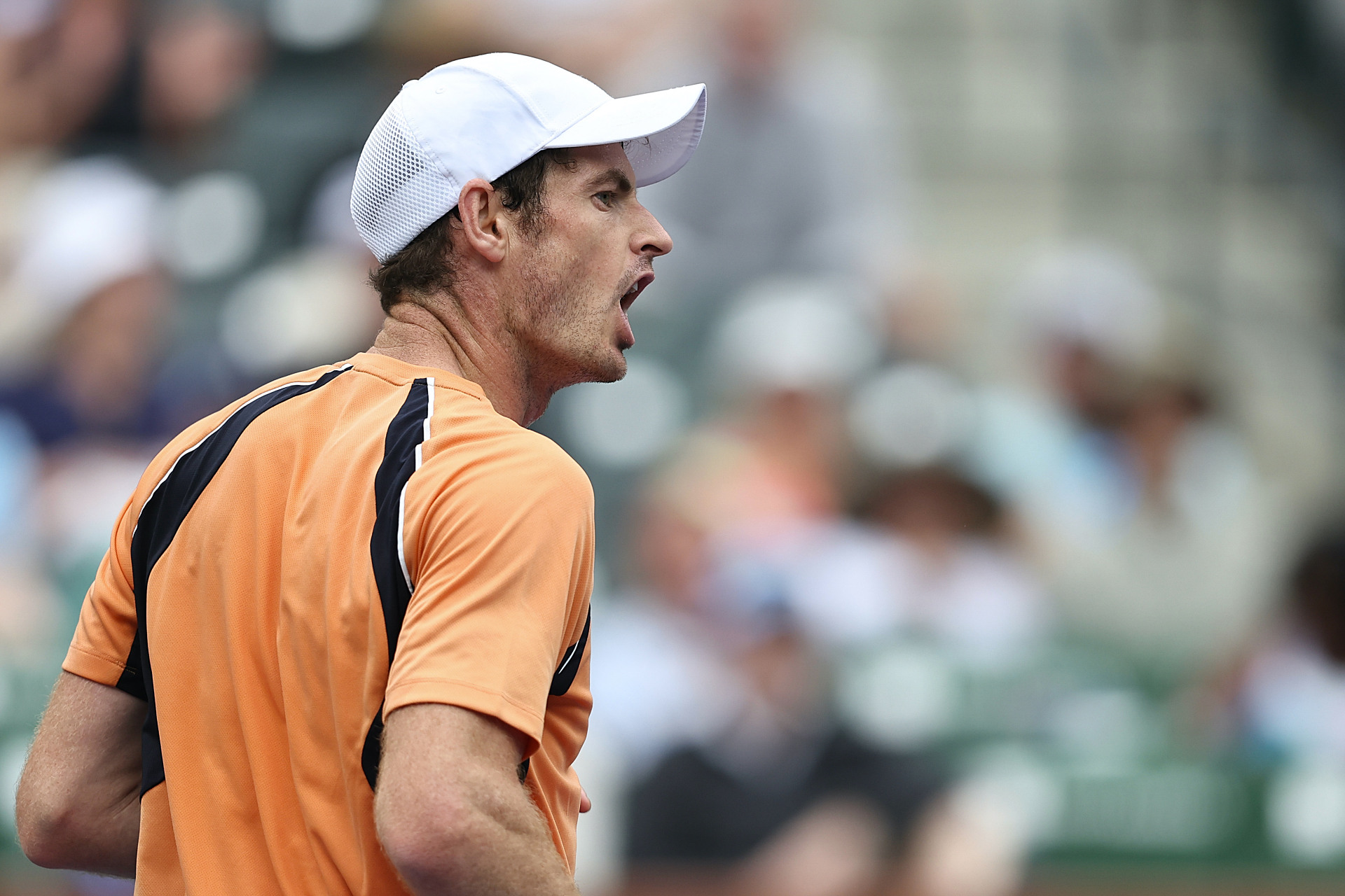 英国网球队翻盘德国网球队，穆雷打破历史纪录的简单介绍