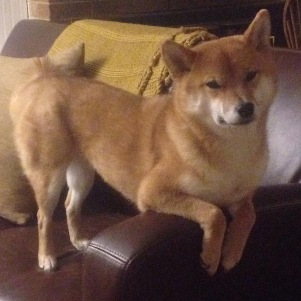 鏖战之夜，在波尔的新刻度上寻找足球的未来