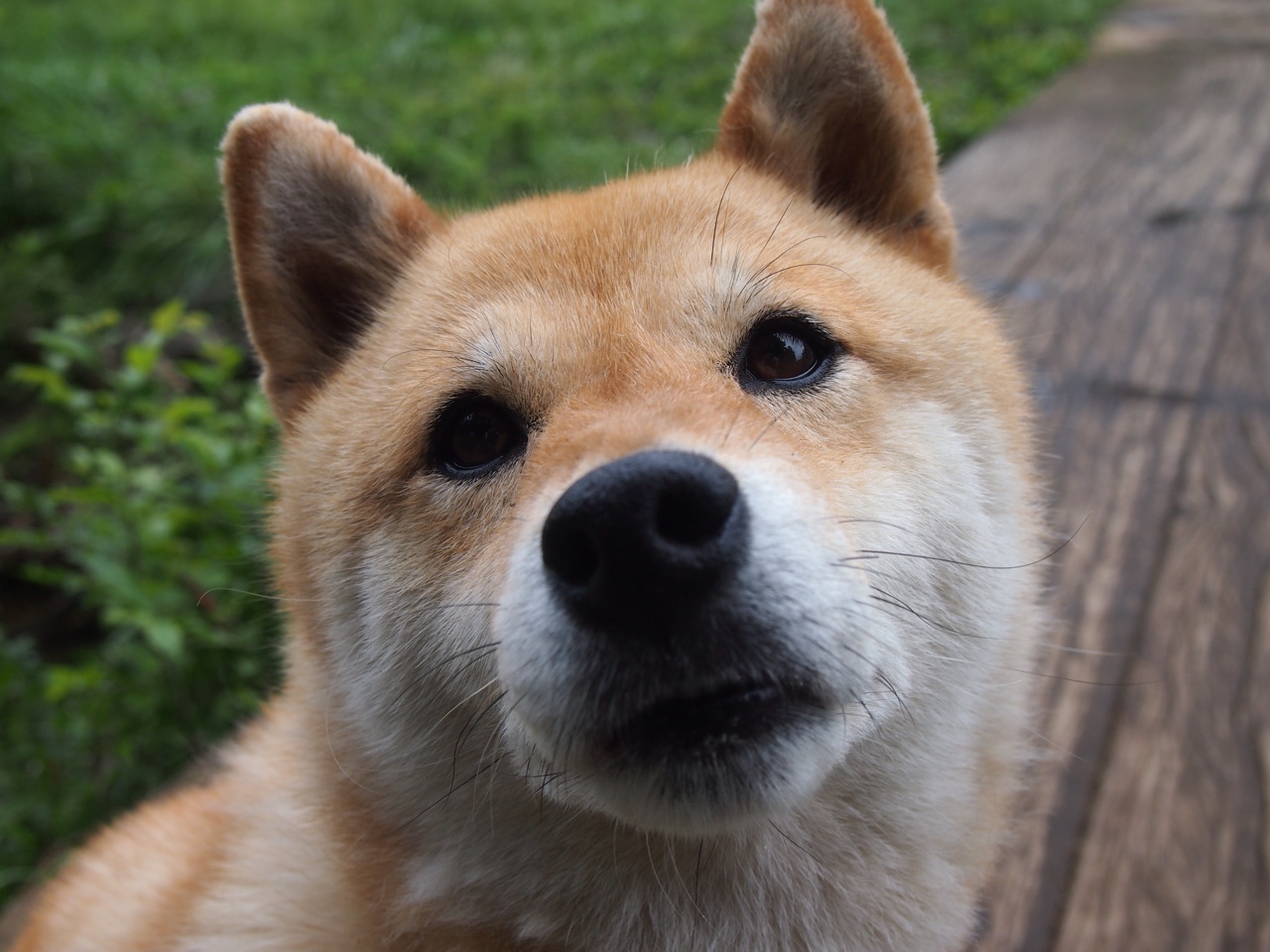 冰与火之歌，当总决赛的精密仪器，闯入拉沃尔杯的狂想盛宴