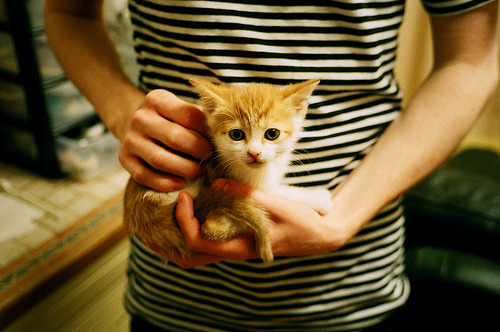 赛道上的精密交响，阿斯顿·马丁以军团优势横扫红牛二队，诺里斯上演孤胆奇兵式高光