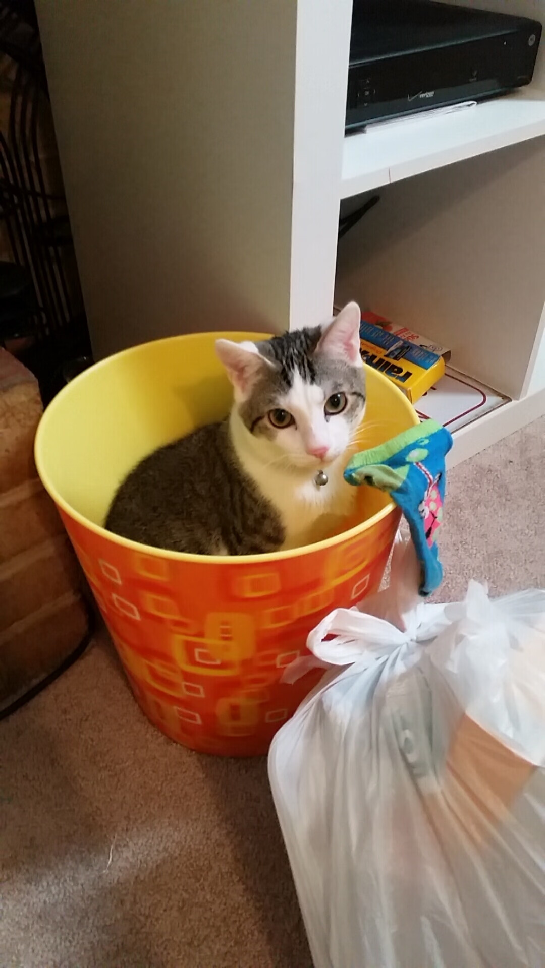 羽坛惊天逆转，印尼队力克中国队，马琳刷新历史纪录