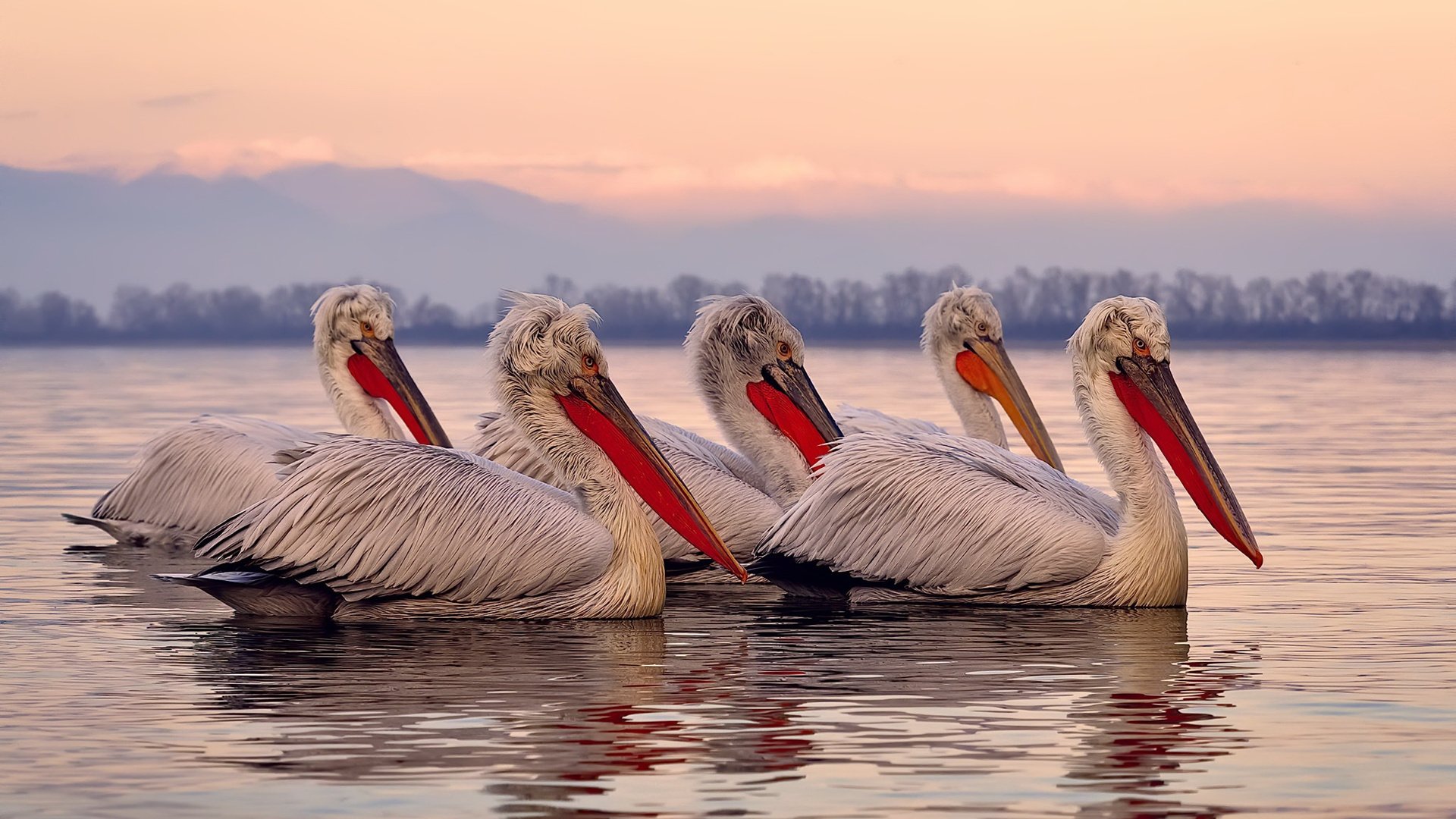 异域骑士的东方征服，当逆转之剑斩断宿命之环