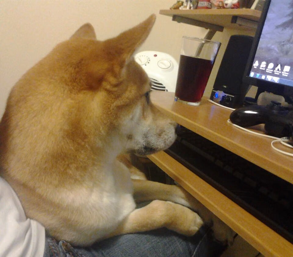 逆转的瞬间，从德国队的翻盘到陈雨菲的制胜—体育唯一性的诠释