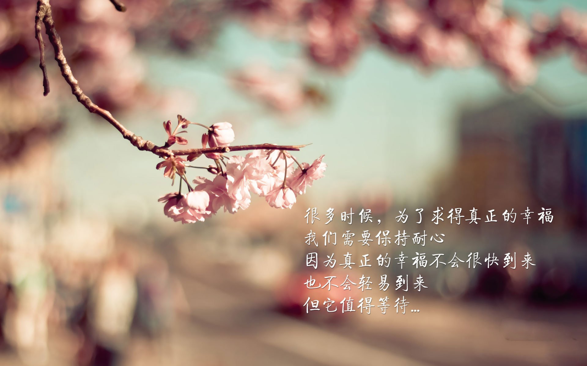 欧冠黑马诞生,比利时爆冷塞维利亚,巴雷拉淘汰赛接管比赛