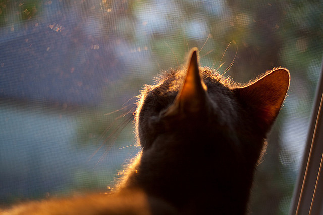 冰原之息,绝对零度—关键先生贝恩的终局之鸣