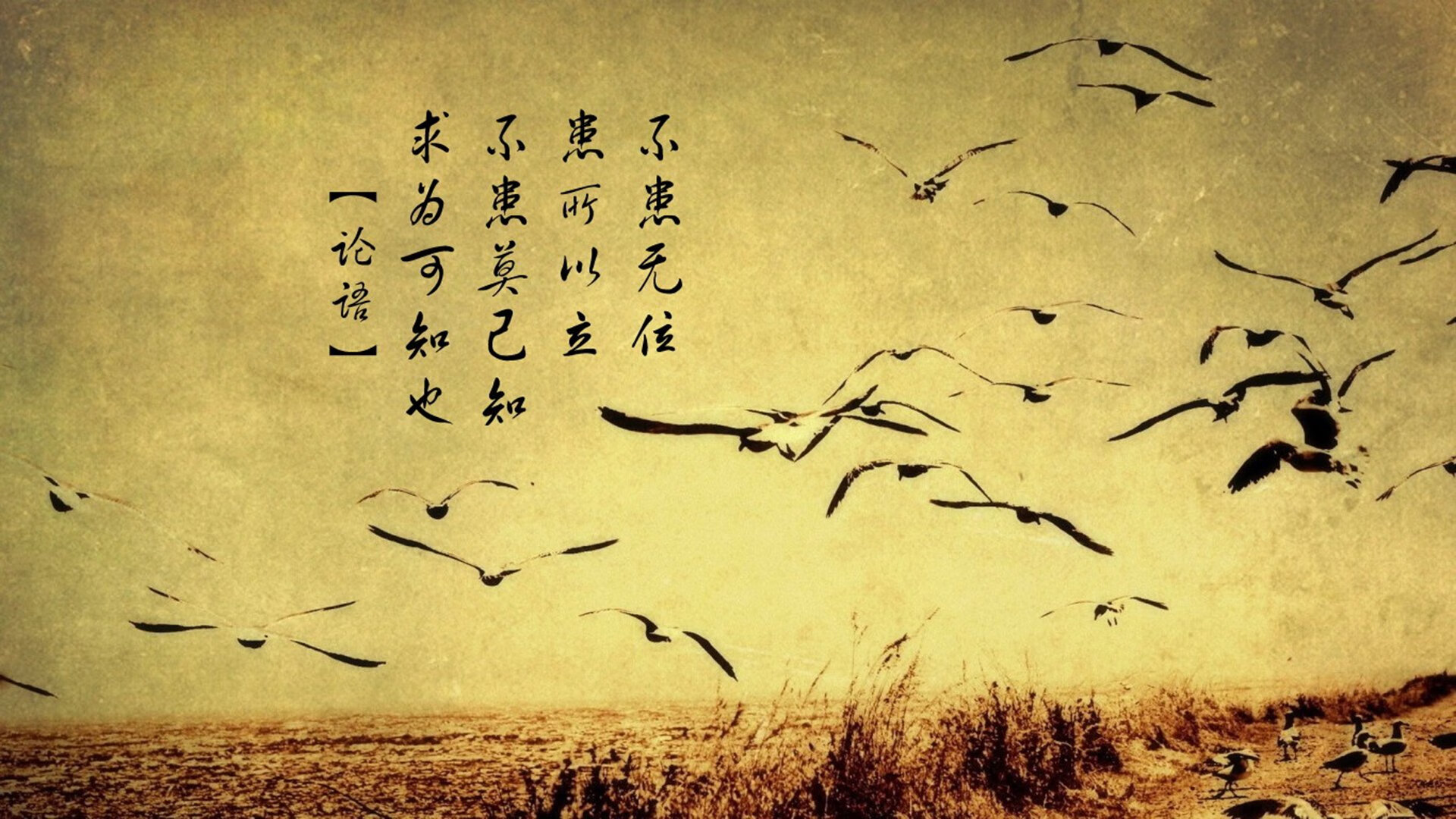 新王当立！罗德里绝妙世界波引爆皮斯胡安，塞维利亚力擒尼斯