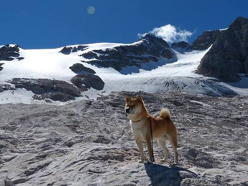 二十年轮回，公牛新王踩着爵士尸骸，复刻乔丹最后一投传奇