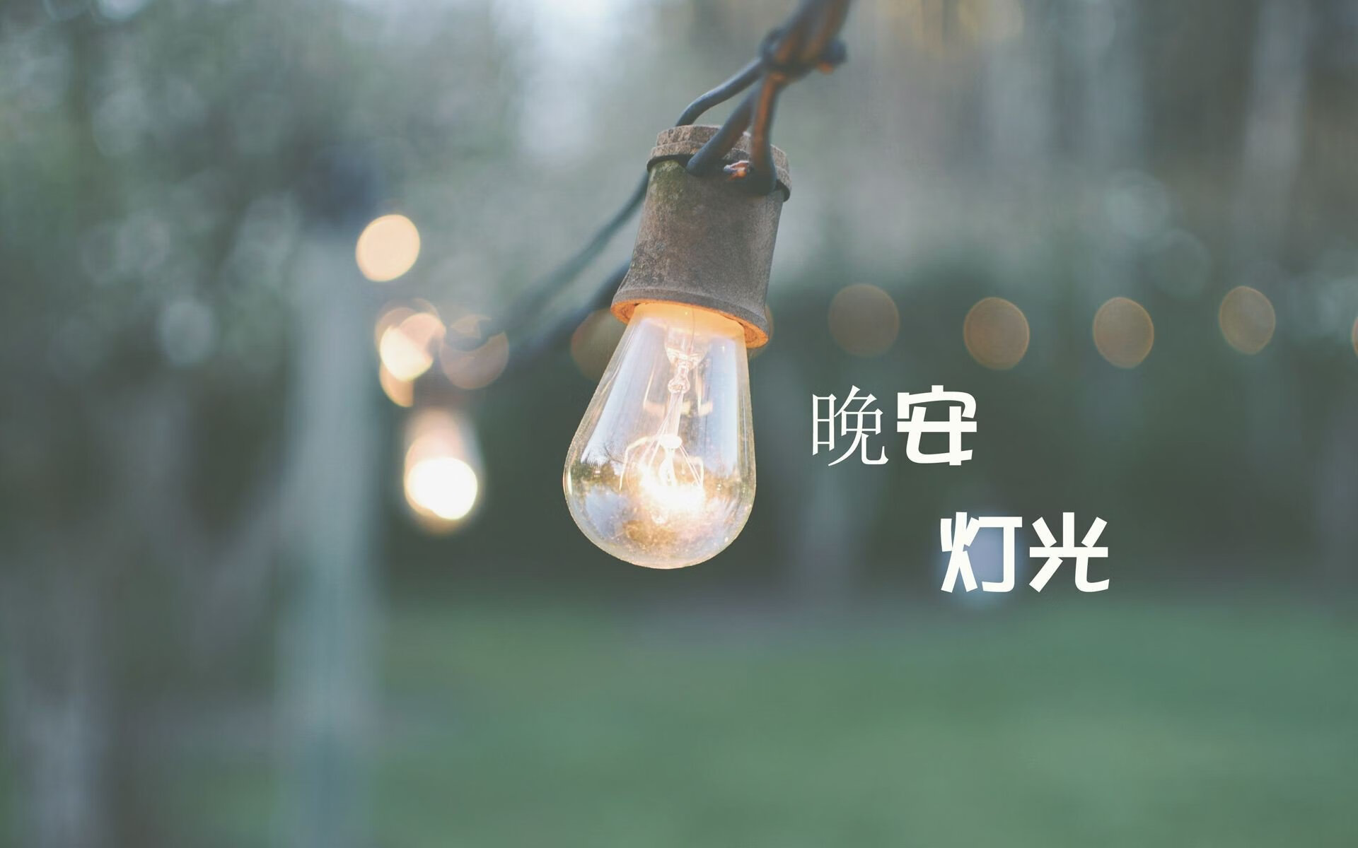 冷门之夜的孤星，当哈兰德在北欧铁骑中点亮B组唯一的光