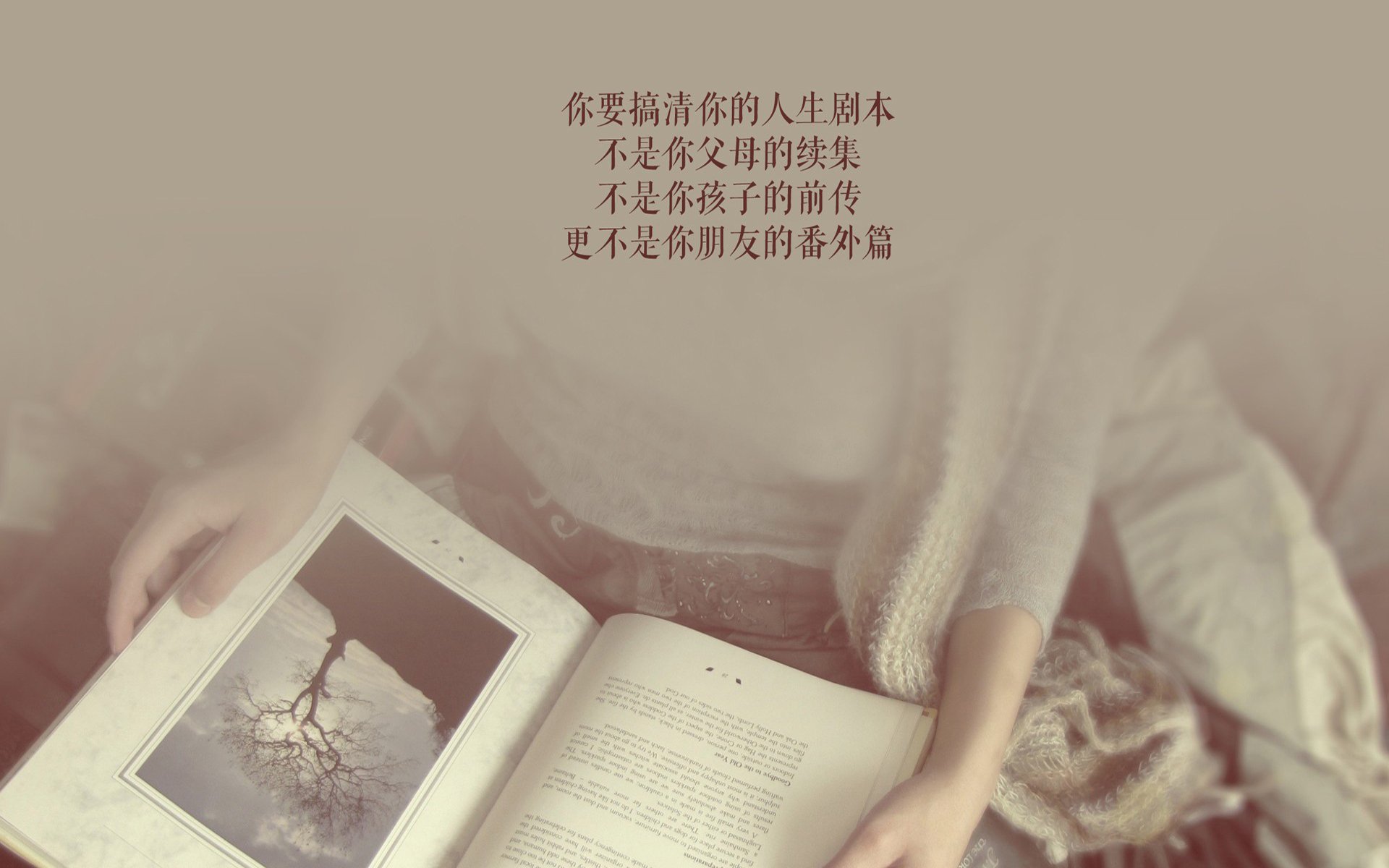 沙漠之狮的怒吼，2026世界杯A组关键战，摩洛哥大胜哥伦比亚，苏亚雷斯带队书写历史