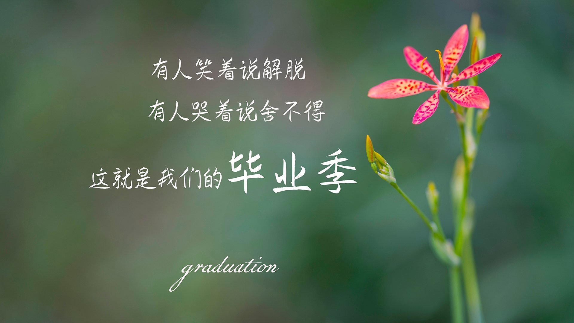 宿命的误判，当葡萄牙的黄昏撞上穆西亚拉的一剑封喉