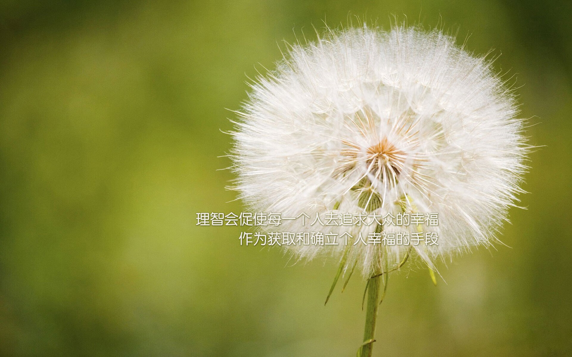 斯德哥尔摩的极光，哈兰德一剑封喉，瑞典在2026世界杯淘汰赛撕碎越南奇迹