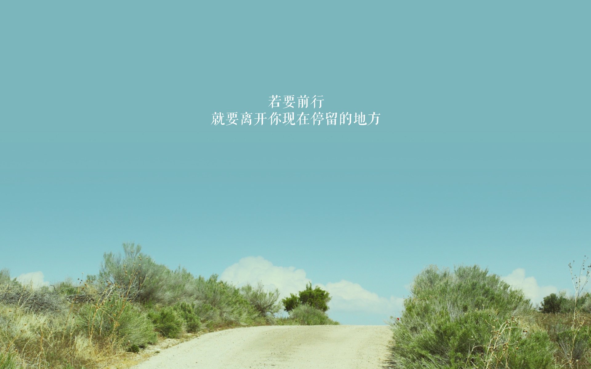 1.沙漠风暴席卷北欧童话，齐耶赫导演，阿联酋用智慧击碎丹麦童话