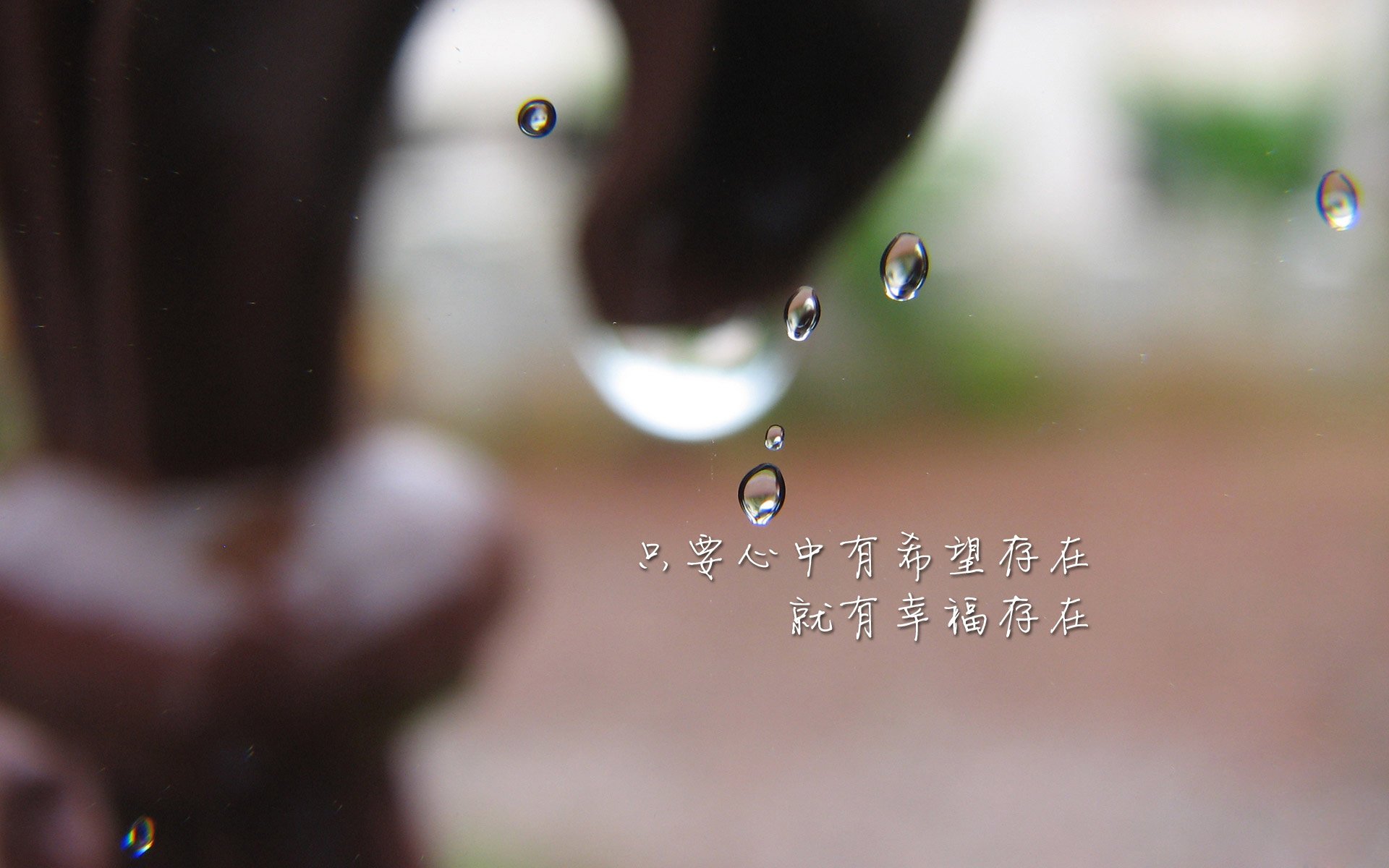 唯一性之战，当佩德里的魔幻脚步，在厄瓜多尔高原撕裂郁金香
